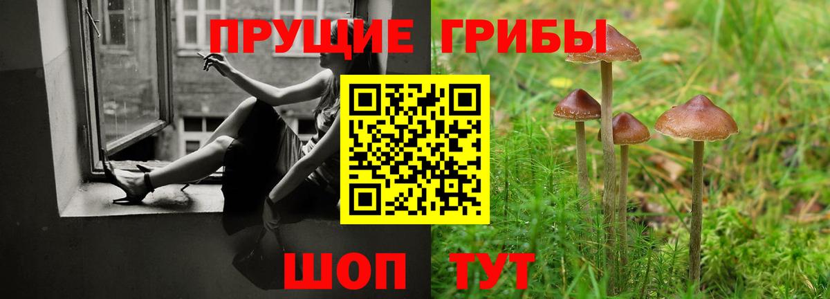 Псилоцибиновые грибы прущие грибы  Псилоцибиновые грибы MAGIC MUSHROOMS  Черногорск  Вход с VPN 